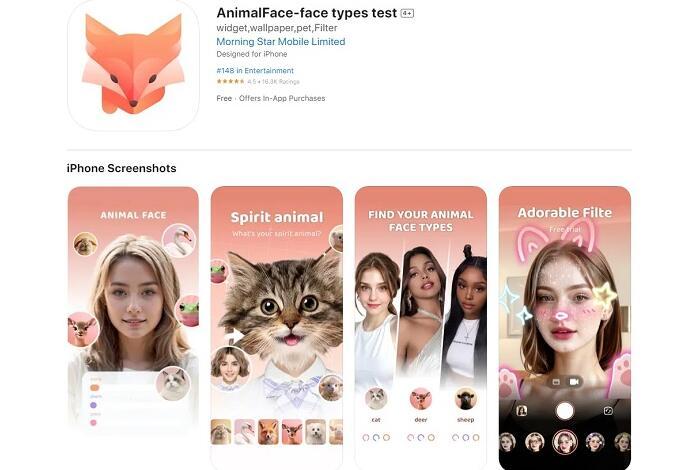 Animal Face - Face Types Test